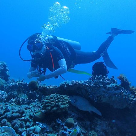 East Lombok Dive Hotel - 3 Private Rooms On The Beach With Seaview & Scuba Diving Center Labuhan Pandan エクステリア 写真