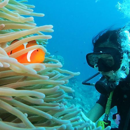 East Lombok Dive Hotel - 3 Private Rooms On The Beach With Seaview & Scuba Diving Center Labuhan Pandan エクステリア 写真