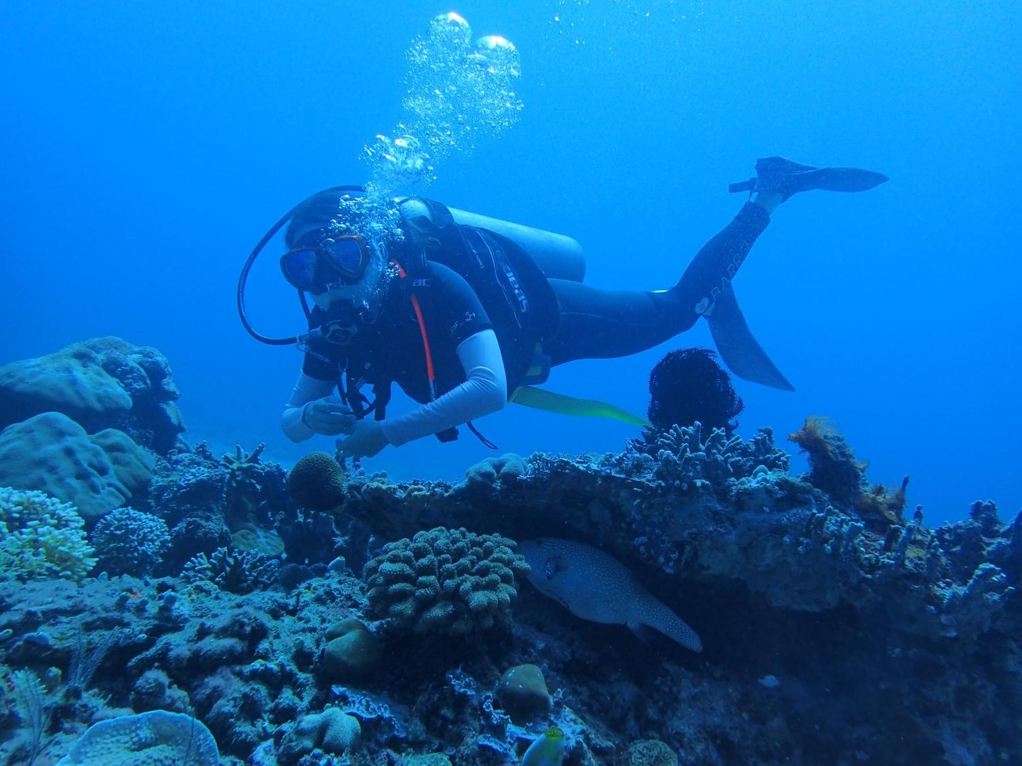 East Lombok Dive Hotel - 3 Private Rooms On The Beach With Seaview & Scuba Diving Center Labuhan Pandan エクステリア 写真