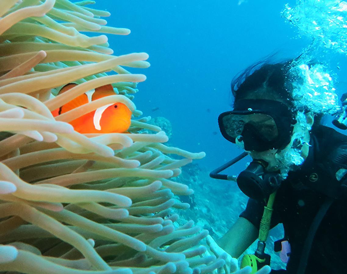 East Lombok Dive Hotel - 3 Private Rooms On The Beach With Seaview & Scuba Diving Center Labuhan Pandan エクステリア 写真