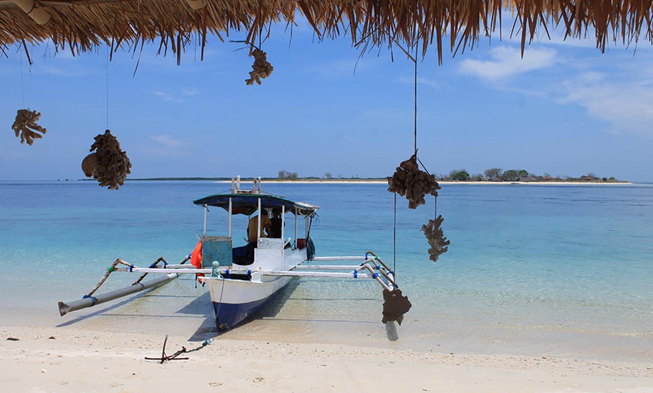 East Lombok Dive Hotel - 3 Private Rooms On The Beach With Seaview & Scuba Diving Center Labuhan Pandan エクステリア 写真