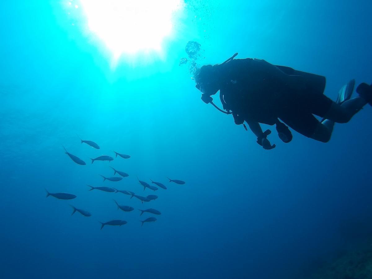 East Lombok Dive Hotel - 3 Private Rooms On The Beach With Seaview & Scuba Diving Center Labuhan Pandan エクステリア 写真